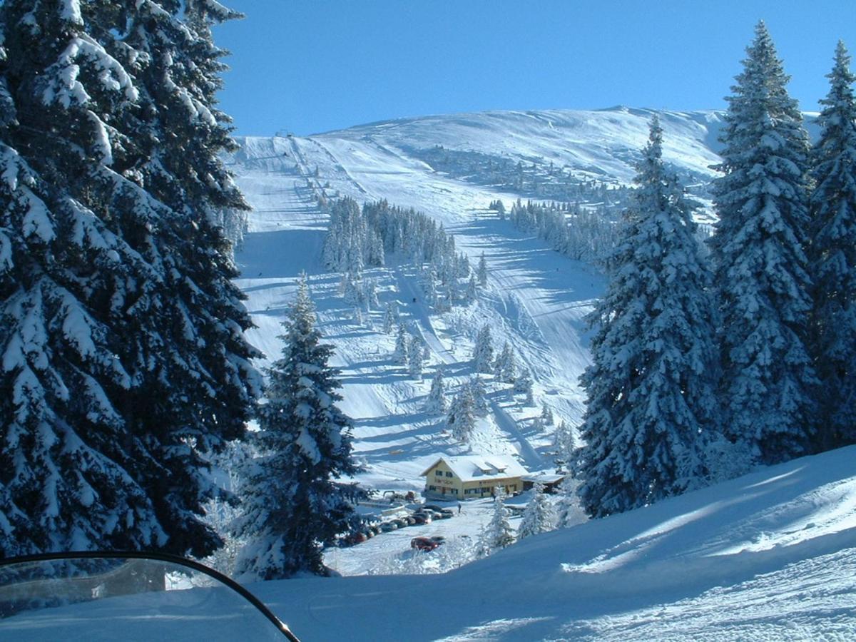 Вилла Feriendorf Koralpe Wellness Edelweiss Frantschach Экстерьер фото